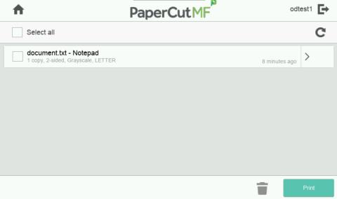 PaperCut print release view