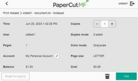 PaperCut document details