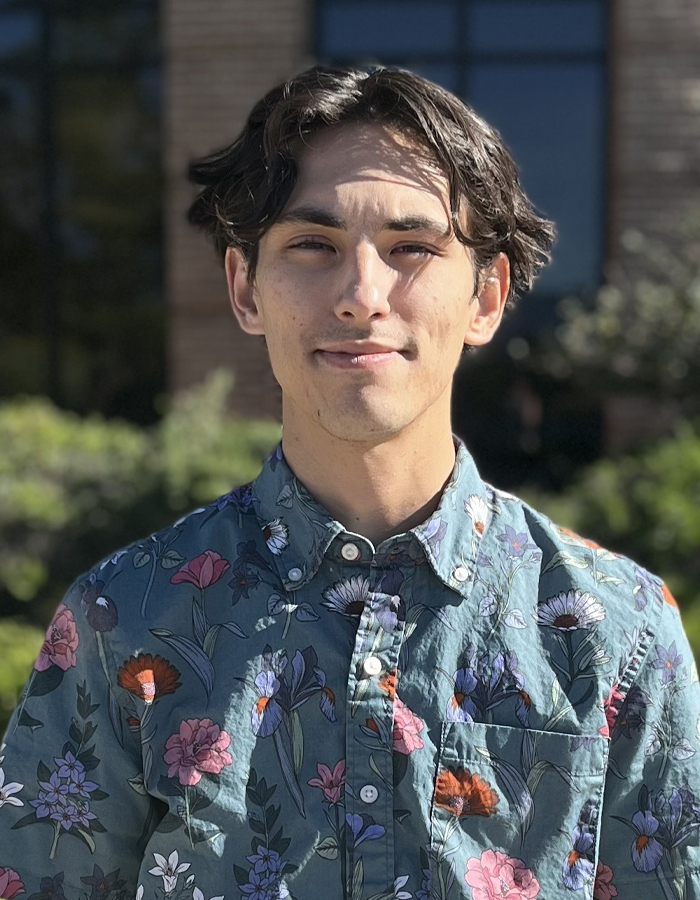 Devin image